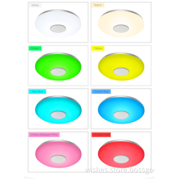 Smart LED Music Ceiling Lights Fashionable